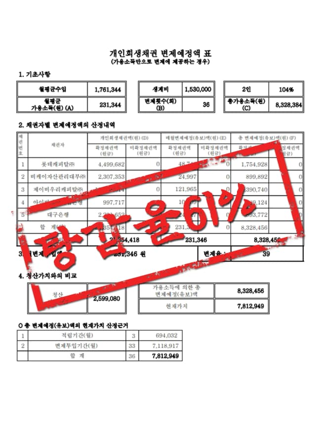 탕감율 61% 성공사례