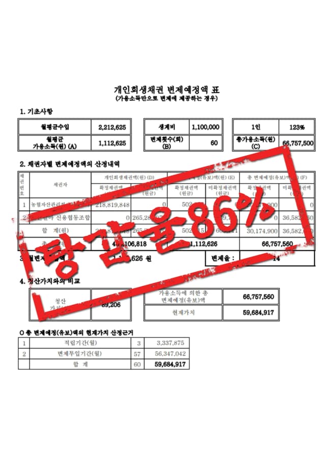 탕감율 86% 성공사례